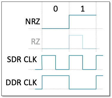 hssignaling2-fig2